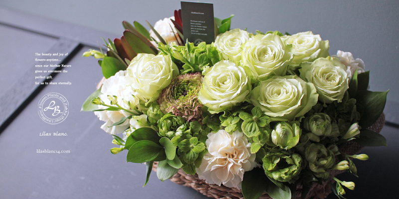 Lilas Blanc Flower Plants And Zakka Shop