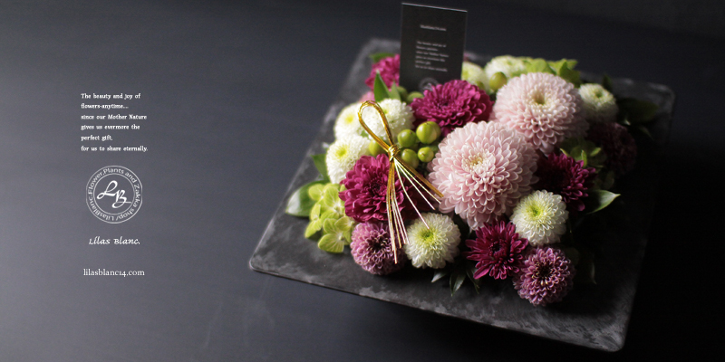 Lilas Blanc Flower Plants And Zakka Shop Lilas Blanc Flower Plants And Zakka Shop